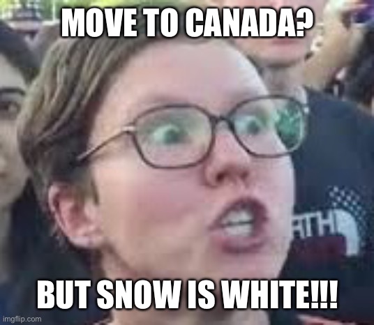 SJW | MOVE TO CANADA? BUT SNOW IS WHITE!!! | image tagged in sjw | made w/ Imgflip meme maker