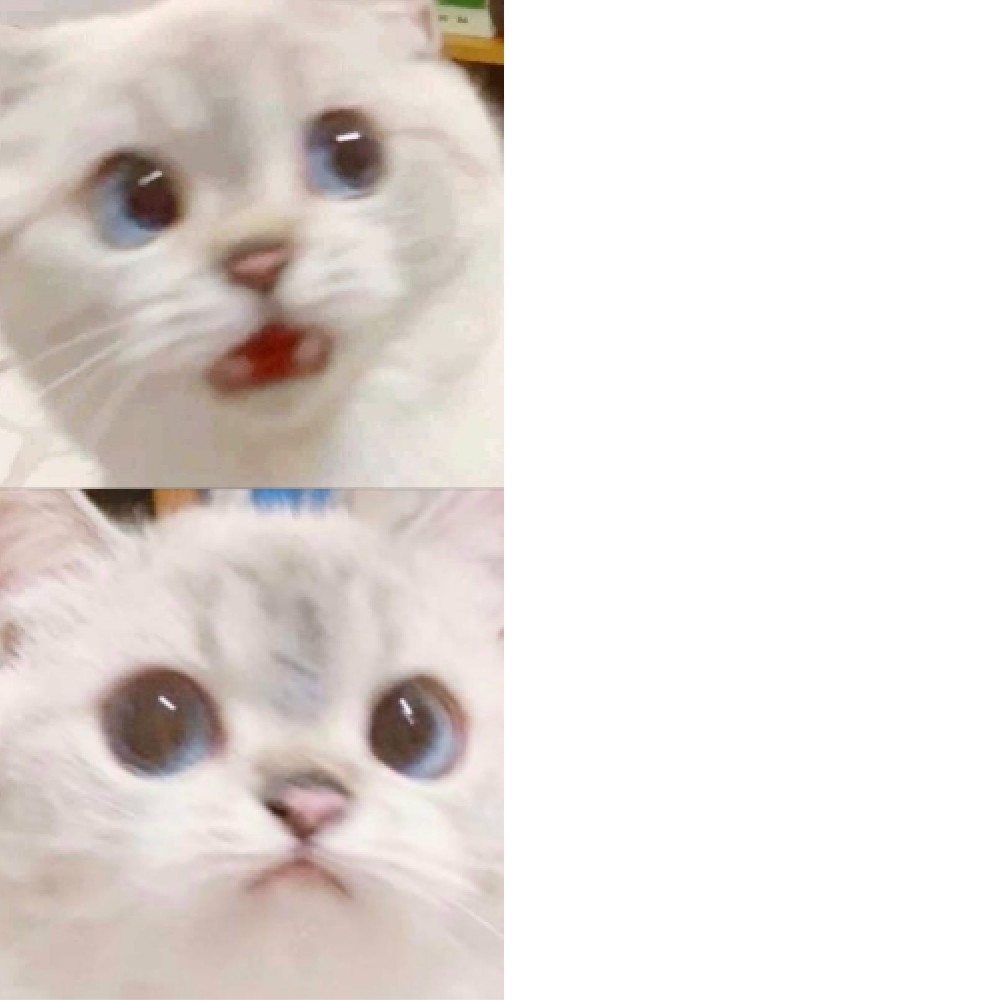 High Quality PANIK - CALM cat Blank Meme Template