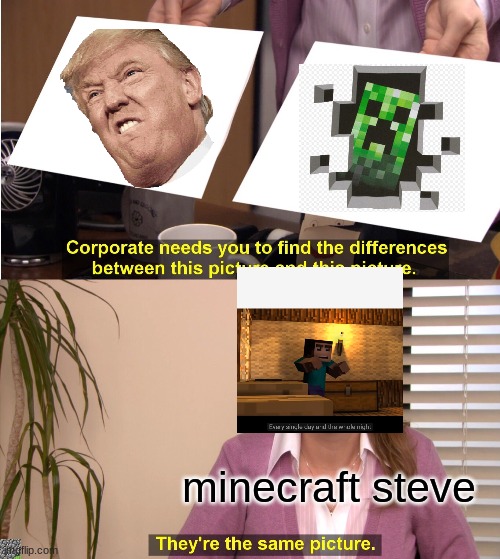 They're The Same Picture Meme | minecraft steve | image tagged in memes,they're the same picture | made w/ Imgflip meme maker