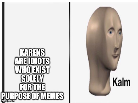 KARENS ARE IDIOTS WHO EXIST SOLELY FOR THE PURPOSE OF MEMES | made w/ Imgflip meme maker