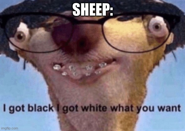 I got black I got white what ya want | SHEEP: | image tagged in i got black i got white what ya want | made w/ Imgflip meme maker