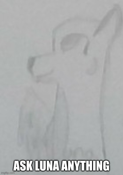 ASK LUNA ANYTHING | made w/ Imgflip meme maker