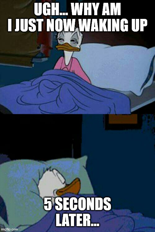 sleepy donald duck in bed | UGH... WHY AM I JUST NOW WAKING UP; 5 SECONDS LATER... | image tagged in sleepy donald duck in bed,waking up,hey you going to sleep | made w/ Imgflip meme maker