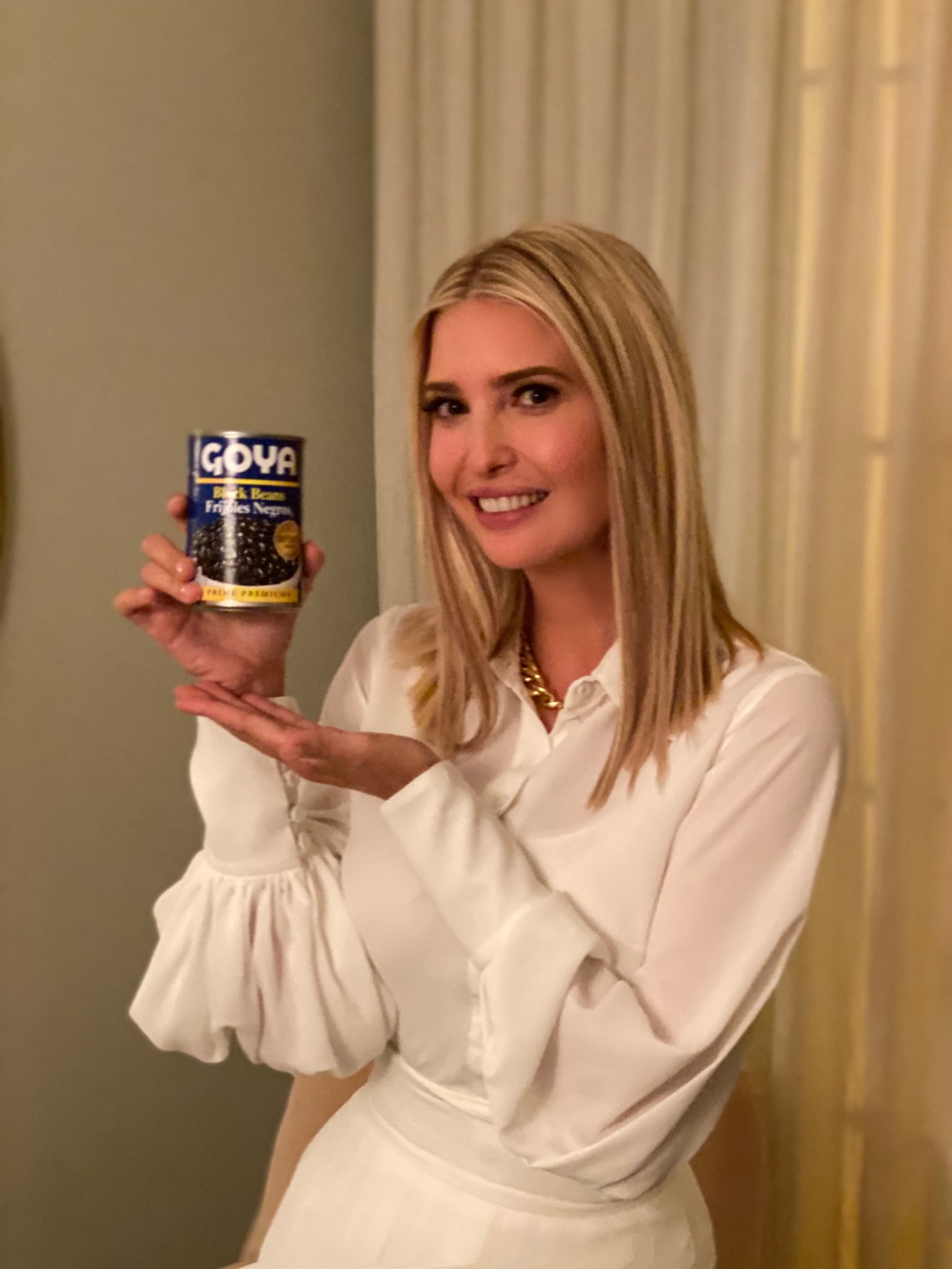 Ivanka Goya Blank Meme Template