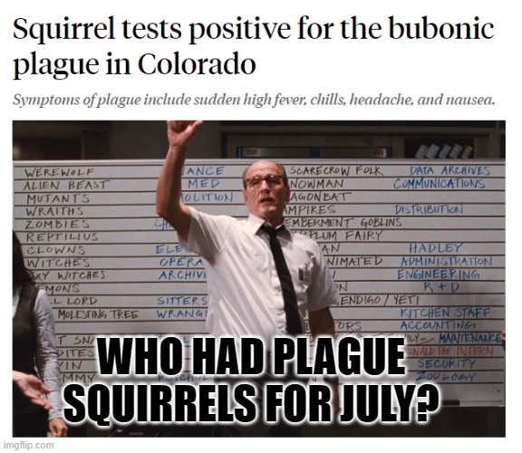 WHO HAD PLAGUE SQUIRRELS FOR JULY? | image tagged in plague squirrels | made w/ Imgflip meme maker