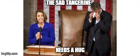 THE SAD TANGERINE NEEDS A HUG | image tagged in sad tangerine | made w/ Imgflip meme maker