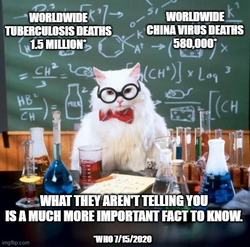 What do you have that they are lying to you to get?  And are you going to give it to them? | WORLDWIDE CHINA VIRUS DEATHS

580,000*; WORLDWIDE TUBERCULOSIS DEATHS

1.5 MILLION*; WHAT THEY AREN'T TELLING YOU IS A MUCH MORE IMPORTANT FACT TO KNOW. *WHO 7/15/2020 | image tagged in memes,chemistry cat,drain the swamp,liberal liars,keep america great | made w/ Imgflip meme maker