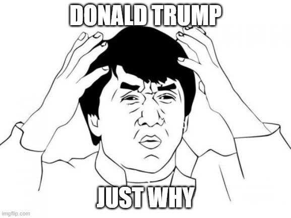 DONALD TRUMP JUST WHY | image tagged in memes,jackie chan wtf | made w/ Imgflip meme maker