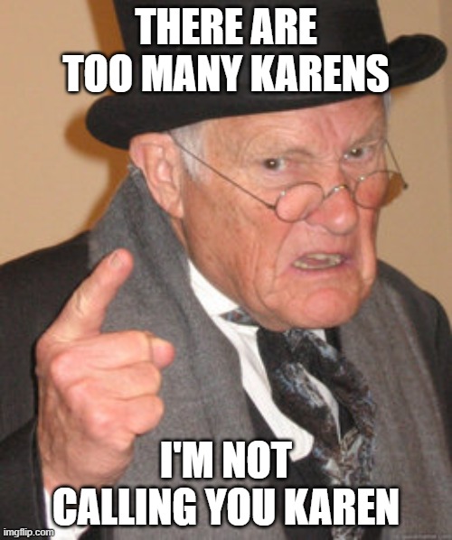 Back In My Day | THERE ARE TOO MANY KARENS; I'M NOT CALLING YOU KAREN | image tagged in memes,back in my day | made w/ Imgflip meme maker