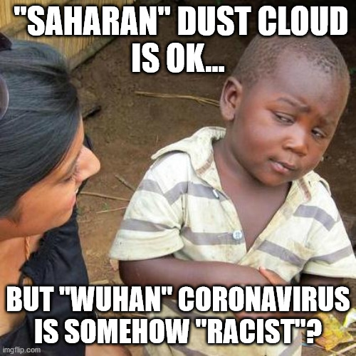 Guess the media didn't get as "woke" as they thought they were | "SAHARAN" DUST CLOUD
IS OK... BUT "WUHAN" CORONAVIRUS IS SOMEHOW "RACIST"? | image tagged in memes,third world skeptical kid,saharan dust cloud,wuhan,coronavirus | made w/ Imgflip meme maker