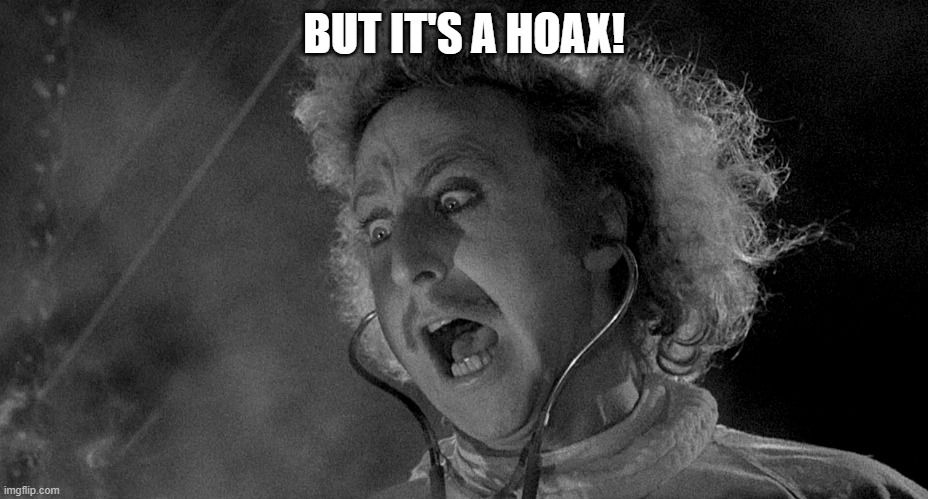 hoax | BUT IT'S A HOAX! | image tagged in gene wilder | made w/ Imgflip meme maker