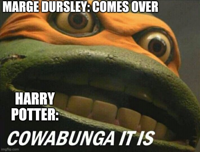 Cowabunga it is | MARGE DURSLEY: COMES OVER; HARRY POTTER: | image tagged in cowabunga it is | made w/ Imgflip meme maker