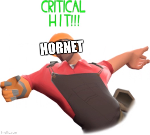 Critical hit!!! | HORNET | image tagged in critical hit | made w/ Imgflip meme maker