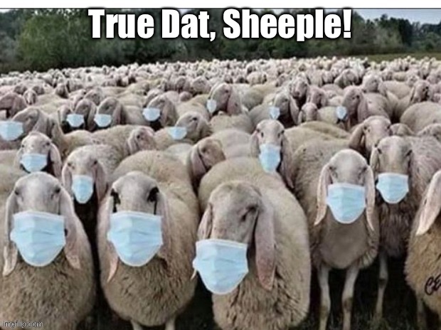 Sign of the Sheeple | True Dat, Sheeple! | image tagged in sign of the sheeple | made w/ Imgflip meme maker