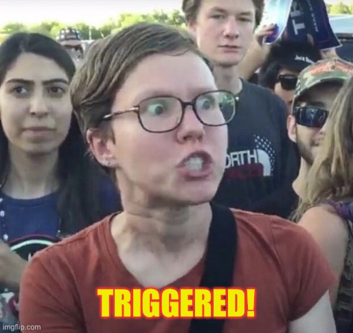 Triggered feminist | TRIGGERED! | image tagged in triggered feminist | made w/ Imgflip meme maker