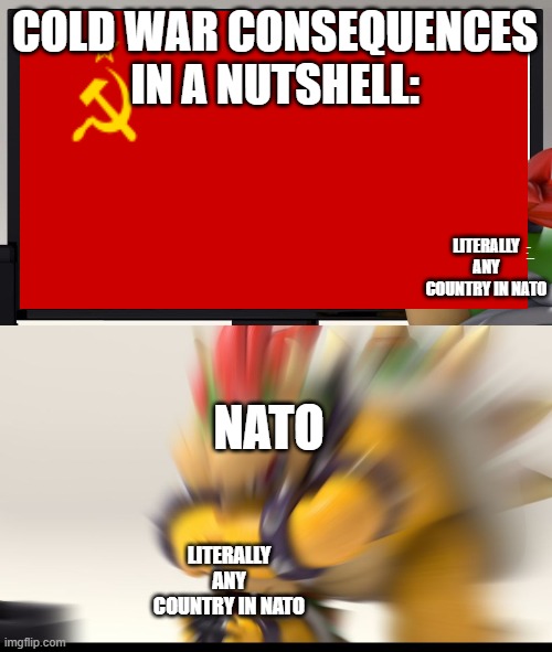 Bowser and Bowser Jr. NSFW | COLD WAR CONSEQUENCES IN A NUTSHELL:; LITERALLY ANY COUNTRY IN NATO; LITERALLY ANY COUNTRY IN NATO; NATO; LITERALLY ANY COUNTRY IN NATO | image tagged in bowser and bowser jr nsfw,historical meme,memes | made w/ Imgflip meme maker