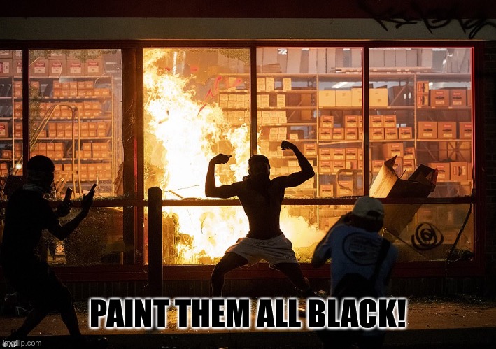 Looter AutoZone Minneapolis | PAINT THEM ALL BLACK! | image tagged in looter autozone minneapolis | made w/ Imgflip meme maker