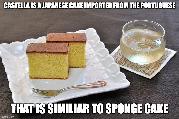 Castella | CASTELLA IS A JAPANESE CAKE IMPORTED FROM THE PORTUGUESE; THAT IS SIMILIAR TO SPONGE CAKE | image tagged in cake,food,memes | made w/ Imgflip meme maker
