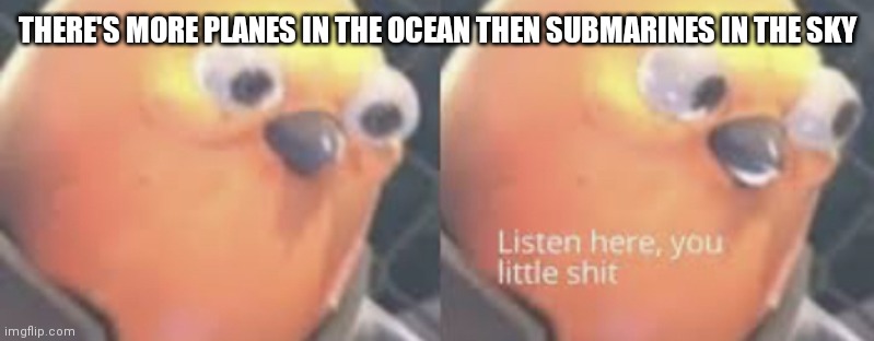 Listen here you little shit bird | THERE'S MORE PLANES IN THE OCEAN THEN SUBMARINES IN THE SKY | image tagged in listen here you little shit bird | made w/ Imgflip meme maker