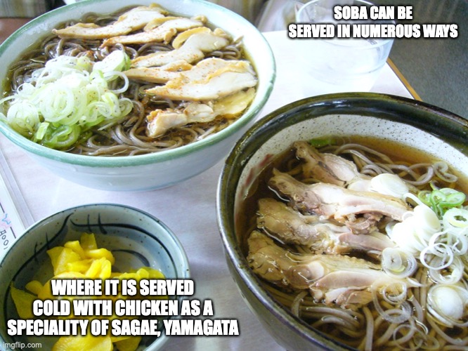 Cold Meat Soba | SOBA CAN BE SERVED IN NUMEROUS WAYS; WHERE IT IS SERVED COLD WITH CHICKEN AS A SPECIALITY OF SAGAE, YAMAGATA | image tagged in soba,food,memes | made w/ Imgflip meme maker