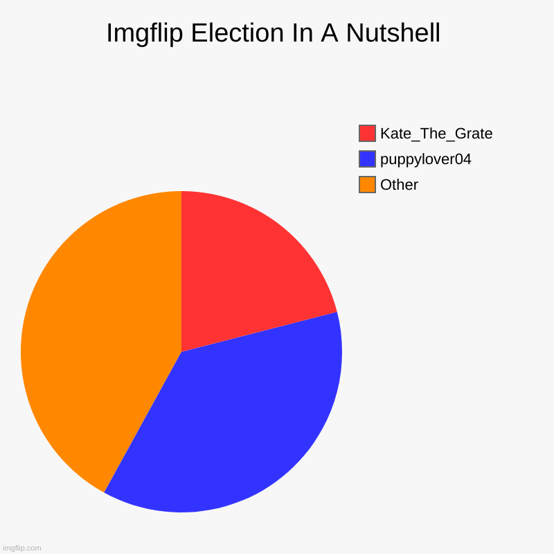 idk if this is official (CONGRATS puppylover04!) | Imgflip Election In A Nutshell | Other, puppylover04, Kate_The_Grate | image tagged in charts,pie charts | made w/ Imgflip chart maker