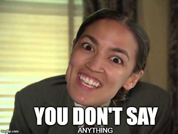 You don't say | YOU DON'T SAY; ANYTHING | image tagged in crazy aoc,you don't say | made w/ Imgflip meme maker