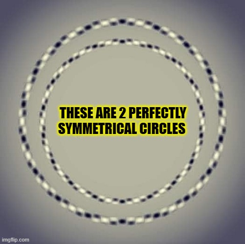 Do You Fell Angry Yet?...HOW ABOUT NOW! | THESE ARE 2 PERFECTLY SYMMETRICAL CIRCLES | image tagged in haters gonna hate,angry as fuk,funny,memes,circle of life,rage face | made w/ Imgflip meme maker