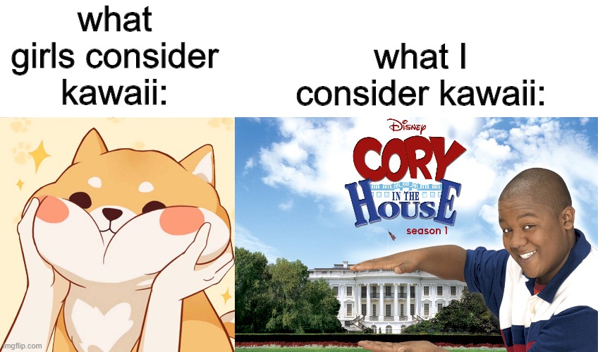 I made this meme because im bored :/ | what girls consider kawaii:; what I consider kawaii: | image tagged in fun | made w/ Imgflip meme maker