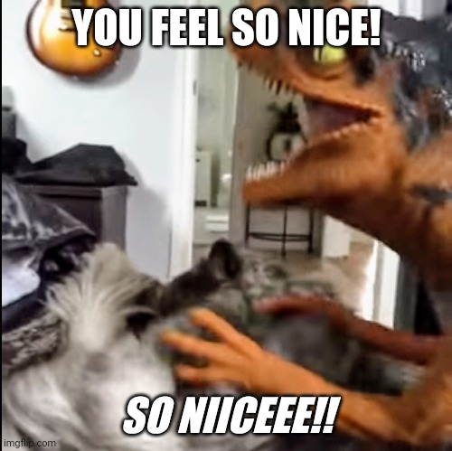 So Nice | YOU FEEL SO NICE! SO NIICEEE!! | image tagged in so nice raptor | made w/ Imgflip meme maker