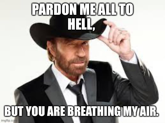 chuck norris | PARDON ME ALL TO
HELL, BUT YOU ARE BREATHING MY AIR. | image tagged in chuck norris | made w/ Imgflip meme maker