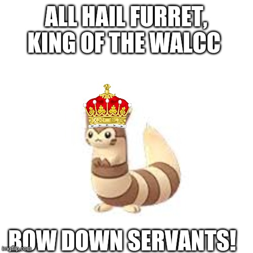 Furret | ALL HAIL FURRET, KING OF THE WALCC; BOW DOWN SERVANTS! | image tagged in furret | made w/ Imgflip meme maker