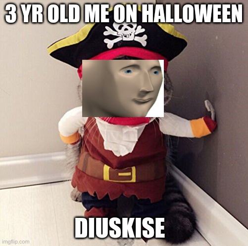 Pirate Kitty | 3 YR OLD ME ON HALLOWEEN; DIUSKISE | image tagged in pirate kitty | made w/ Imgflip meme maker