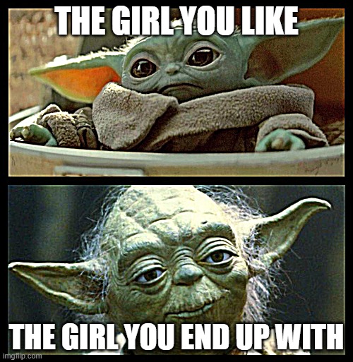 baby yoda | THE GIRL YOU LIKE; THE GIRL YOU END UP WITH | image tagged in baby yoda,girl | made w/ Imgflip meme maker