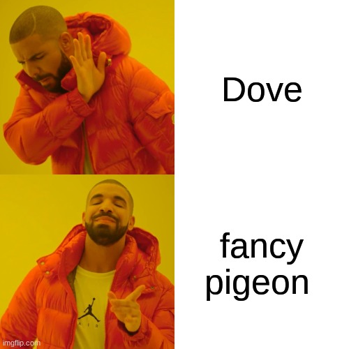 I'm only calling it that | Dove; fancy pigeon | image tagged in memes,drake hotline bling,dove | made w/ Imgflip meme maker