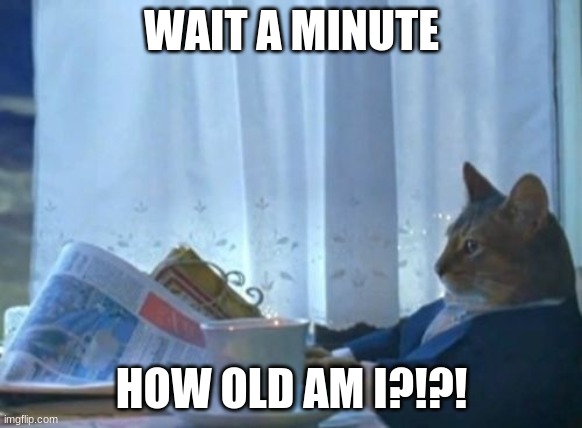 I Should Buy A Boat Cat Meme | WAIT A MINUTE; HOW OLD AM I?!?! | image tagged in memes,i should buy a boat cat | made w/ Imgflip meme maker