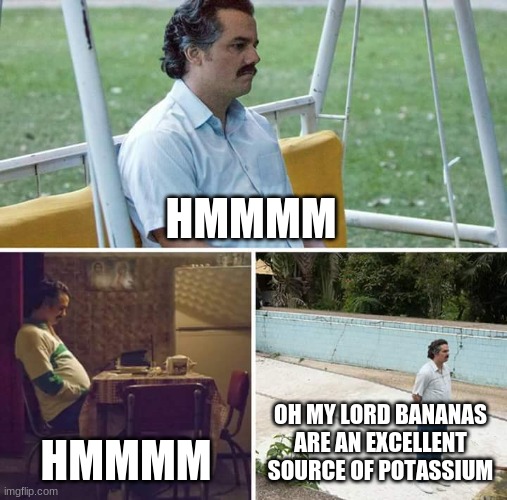 Sad Pablo Escobar | HMMMM; HMMMM; OH MY LORD BANANAS ARE AN EXCELLENT SOURCE OF POTASSIUM | image tagged in memes,sad pablo escobar | made w/ Imgflip meme maker