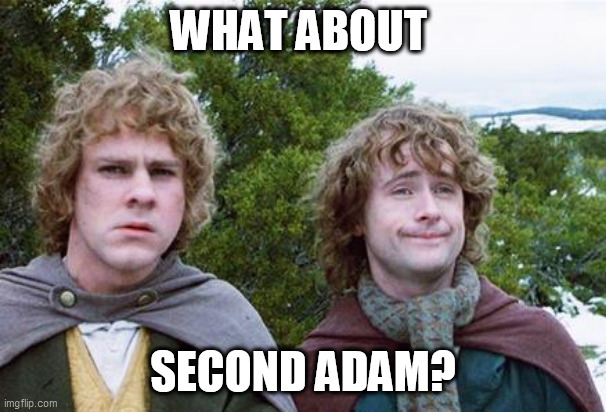 Second Breakfast | WHAT ABOUT; SECOND ADAM? | image tagged in second breakfast | made w/ Imgflip meme maker