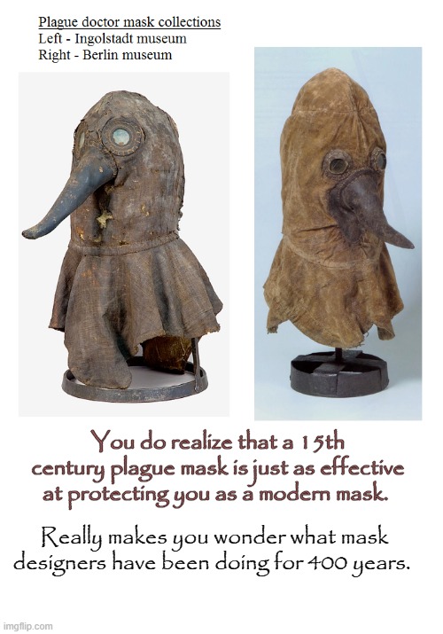 Plague Mask | You do realize that a 15th century plague mask is just as effective at protecting you as a modern mask. Really makes you wonder what mask designers have been doing for 400 years. | image tagged in mask,plague,covid-19 | made w/ Imgflip meme maker