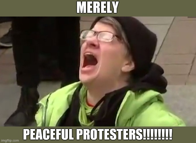 Screaming Liberal  | MERELY PEACEFUL PROTESTERS!!!!!!!! | image tagged in screaming liberal | made w/ Imgflip meme maker