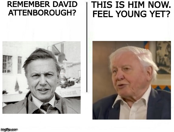 David Attenborough: Born Before The Baby Boom | REMEMBER DAVID ATTENBOROUGH? THIS IS HIM NOW.
FEEL YOUNG YET? | image tagged in memes,feel old yet,david,old man | made w/ Imgflip meme maker