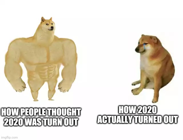 2020 | HOW PEOPLE THOUGHT 2020 WAS TURN OUT; HOW 2020 ACTUALLY TURNED OUT | image tagged in buff doge vs cheems | made w/ Imgflip meme maker