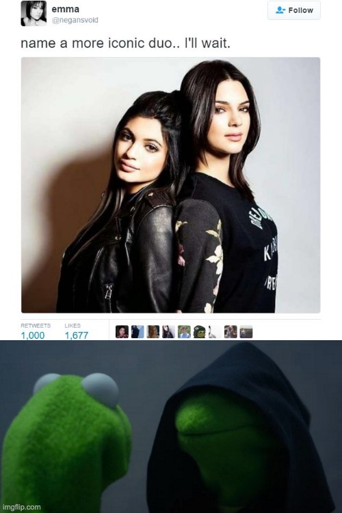 They really are! | image tagged in name a more iconic duo,evil kermit,kermit the frog,kermit,too many tags | made w/ Imgflip meme maker