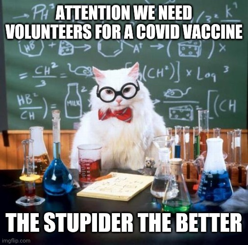 Chemistry Cat Meme | ATTENTION WE NEED VOLUNTEERS FOR A COVID VACCINE; THE STUPIDER THE BETTER | image tagged in memes,chemistry cat | made w/ Imgflip meme maker