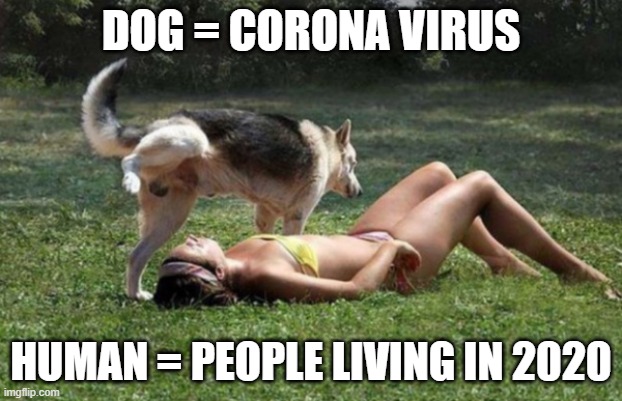 Take that! | DOG = CORONA VIRUS; HUMAN = PEOPLE LIVING IN 2020 | image tagged in corona virus,piss on you | made w/ Imgflip meme maker