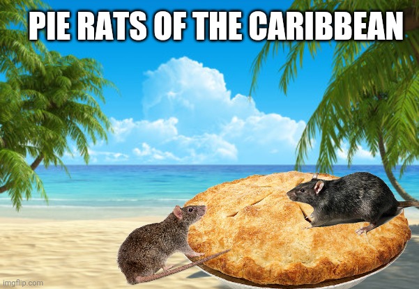 Pie Rats of the Caribbean | PIE RATS OF THE CARIBBEAN | image tagged in memes,bad memes,pirates of the caribbean,pie,rats | made w/ Imgflip meme maker