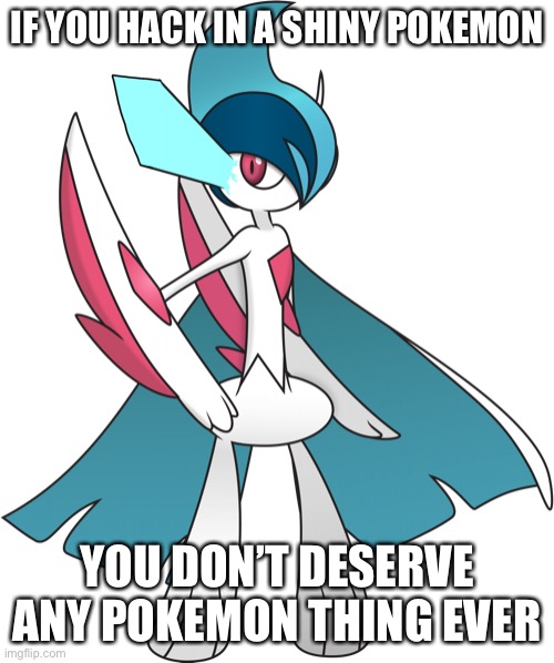 IF YOU HACK IN A SHINY POKEMON; YOU DON’T DESERVE ANY POKEMON THING EVER | image tagged in literally me irl | made w/ Imgflip meme maker