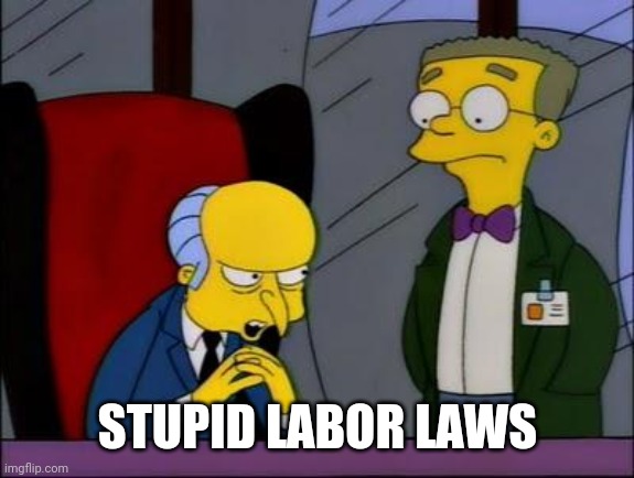 Mr burns smithers | STUPID LABOR LAWS | image tagged in mr burns smithers | made w/ Imgflip meme maker