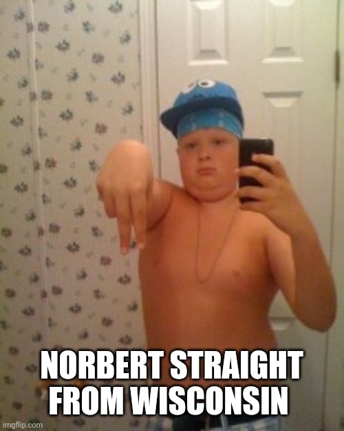 wigger | NORBERT STRAIGHT FROM WISCONSIN | image tagged in wigger | made w/ Imgflip meme maker