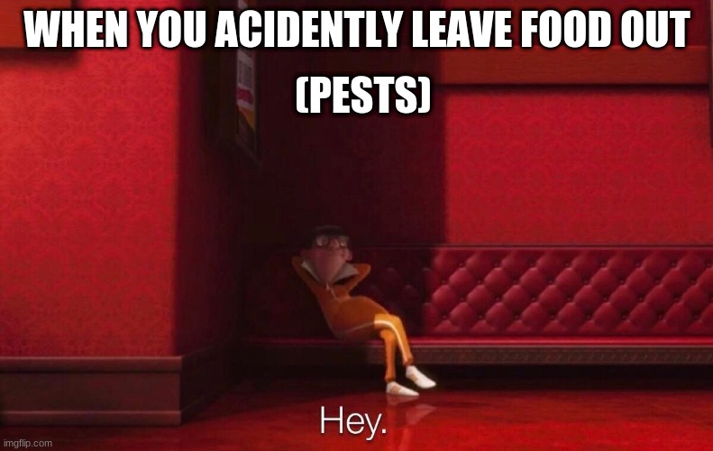 pests and food meme | (PESTS); WHEN YOU ACIDENTLY LEAVE FOOD OUT | image tagged in vector,hey,relatable | made w/ Imgflip meme maker