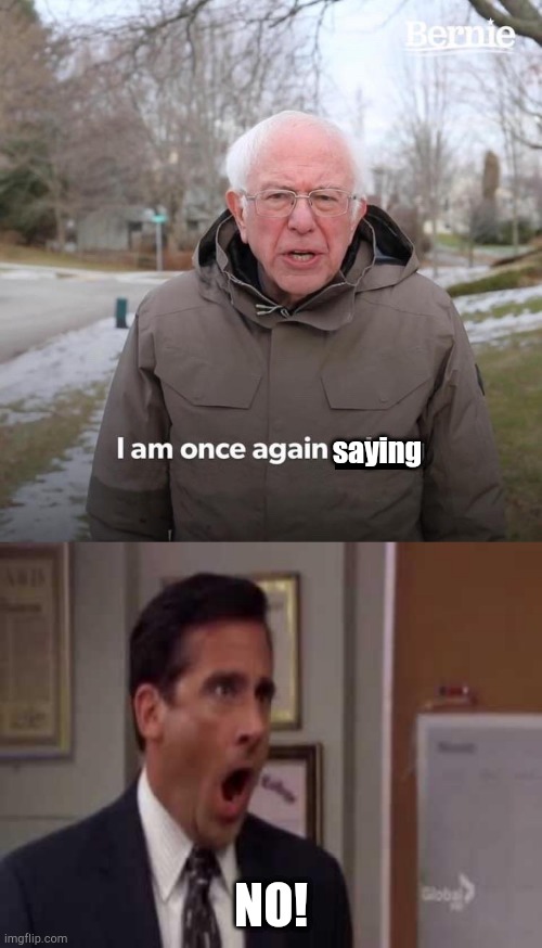 saying NO! | image tagged in no god no god please no,memes,bernie i am once again asking for your support | made w/ Imgflip meme maker